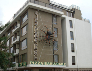 Tarantula