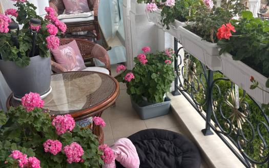 Luxuriöse Drei-Zimmer-Wohnung im Komplex Villa Florence, Sweti Wlas ID: 115118